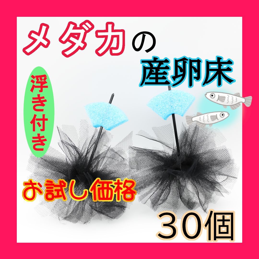 メダカ 産卵床 30個 チュール生地 - 通販 - guianegro.com.br