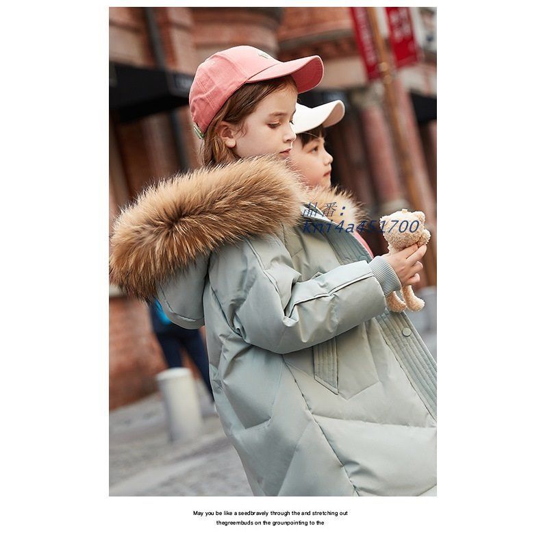 アウトドア フード付き