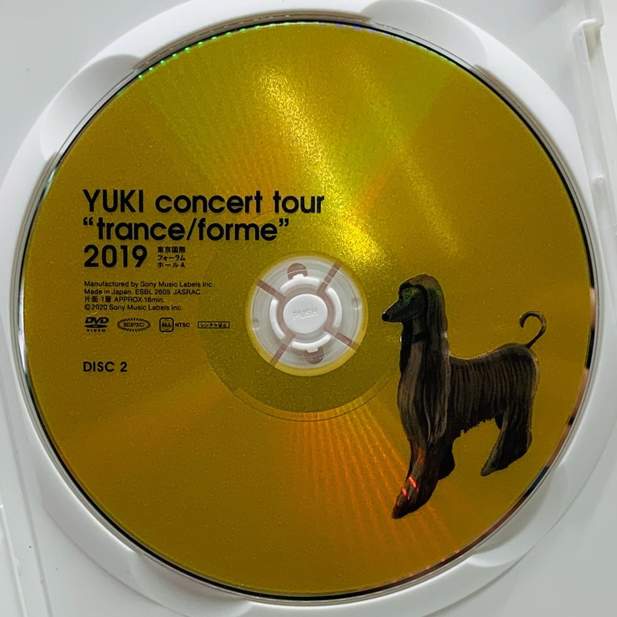 YUKI　concert　tour“trance／forme”2019　東京国際 YUKI concert tour 
