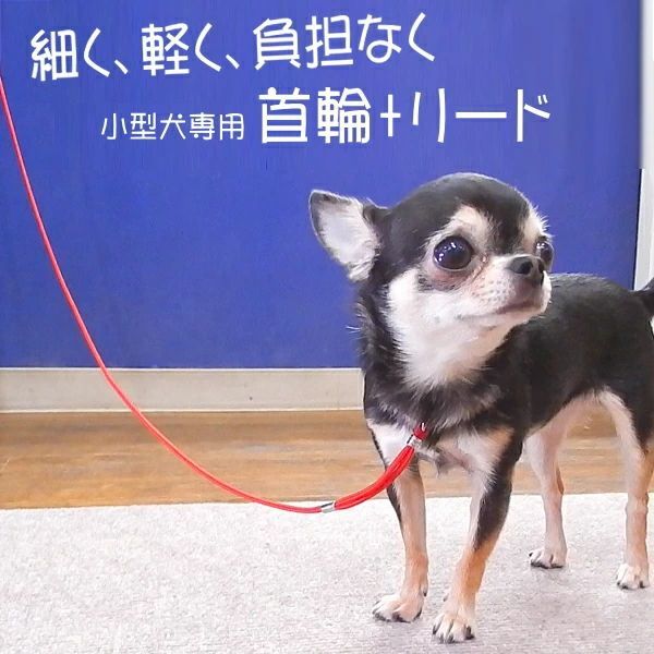 犬 首輪 リード スキップドッグ プチインリード 小型犬 一体型 カラーリード - メルカリ