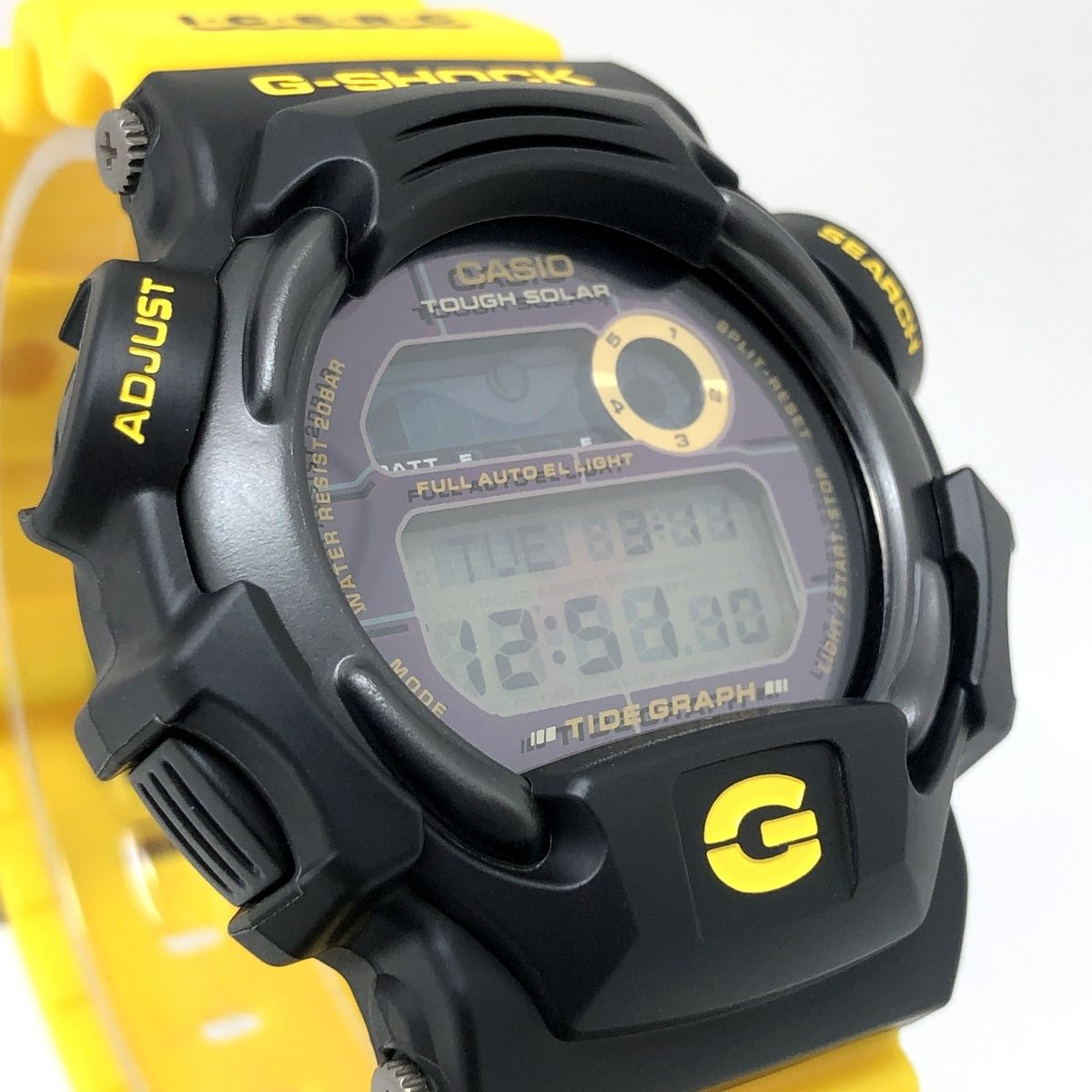 G-SHOCK DW9701K 第4回国際イルカ・クジラ会議限定モデル 30頭の