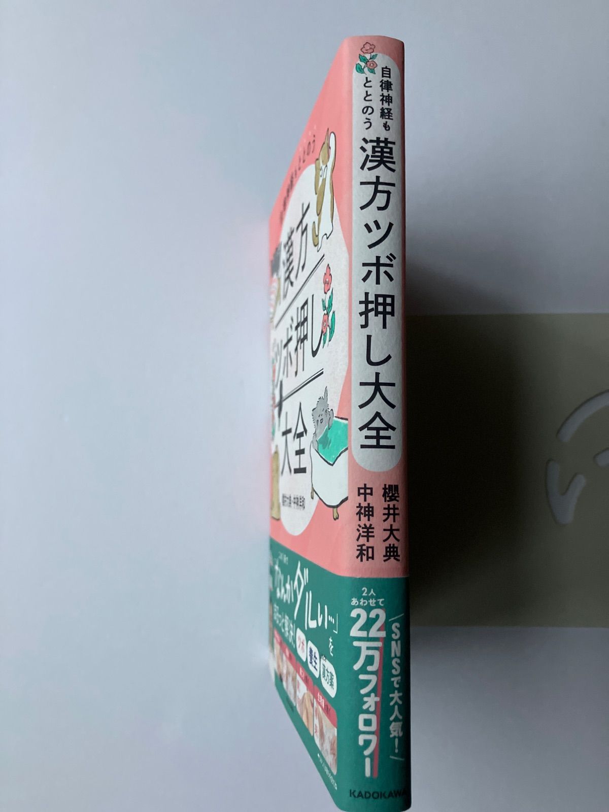 自律神経もととのう 漢方ツボ押し大全 ／櫻井 大典 ・中神洋和