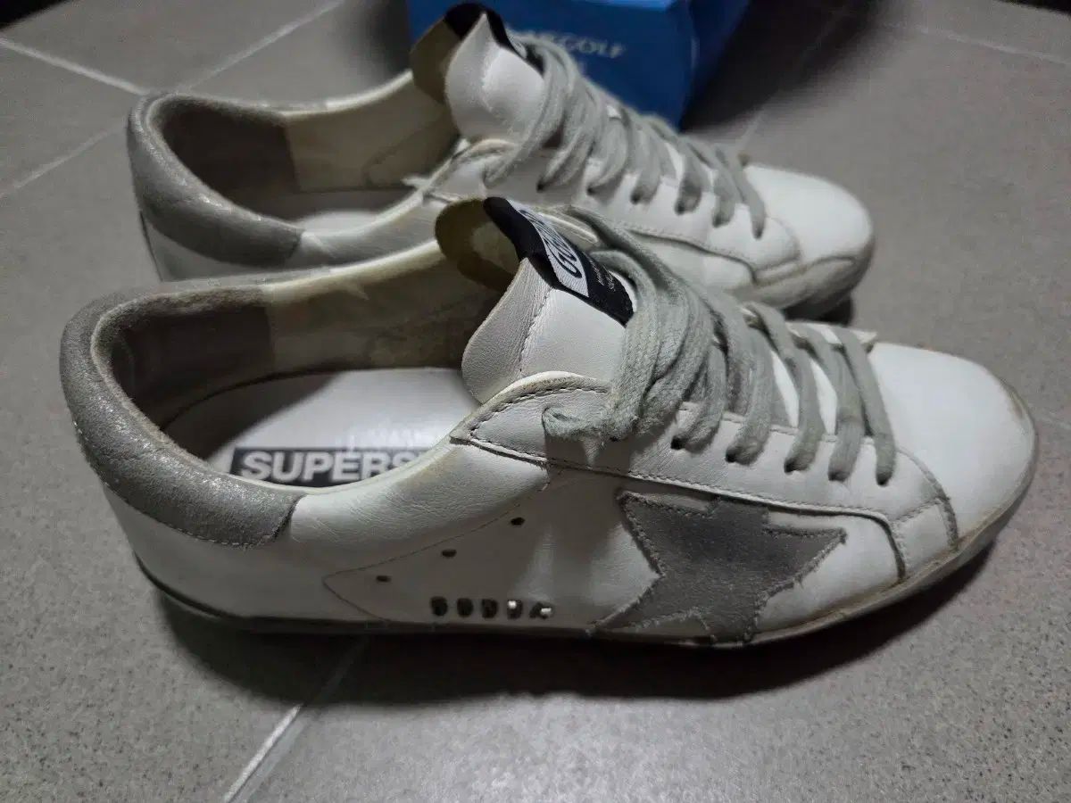 ゴールデングース