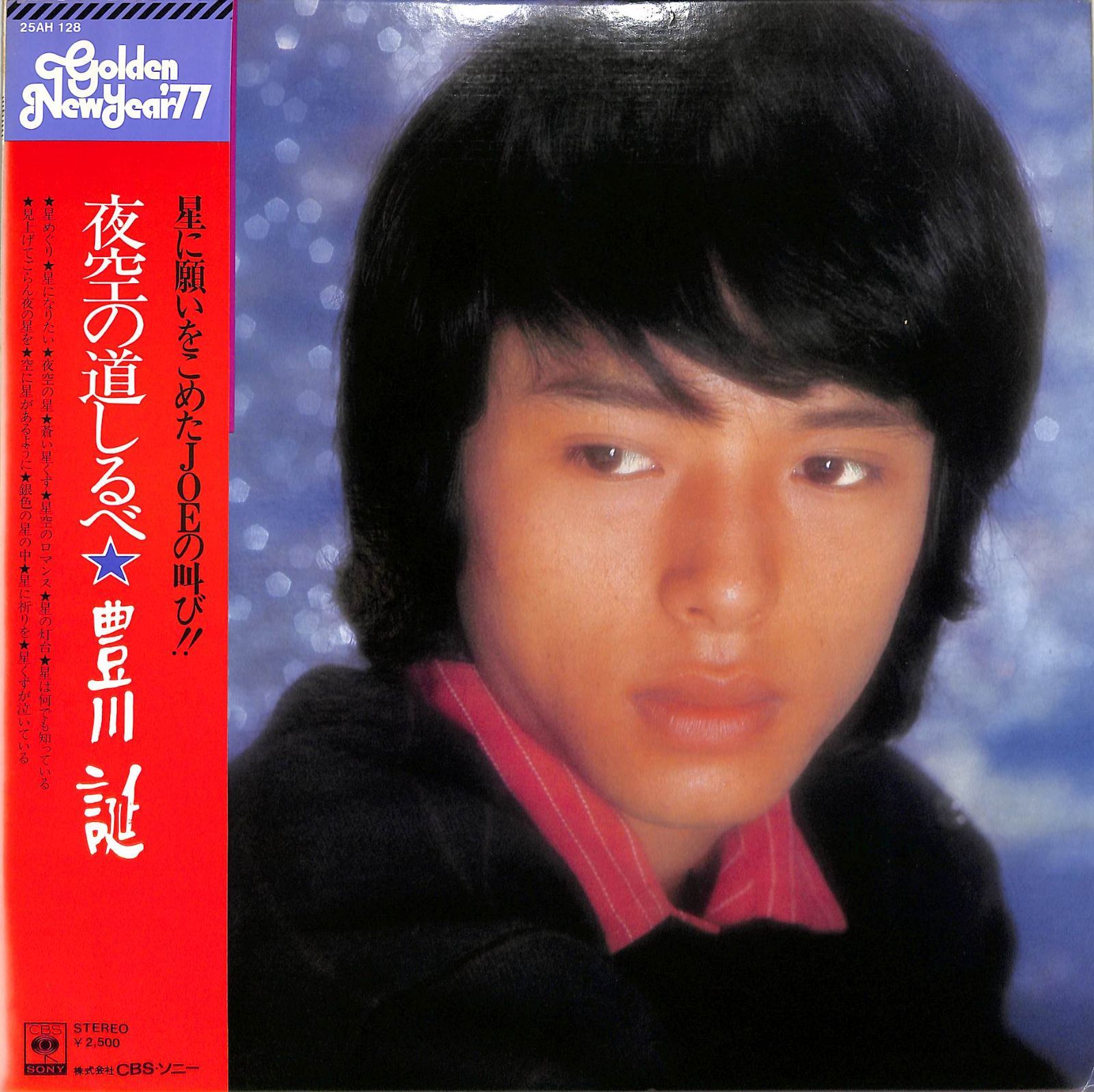 LP1枚 / 豊川誕 (豊川ジョー・歴代ジャニーズ) / 夜空の道しるべ