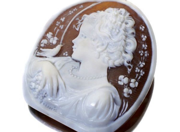 ラファエレ・ペルニーチェシェルカメオルース54.8mm×41.2mmw4864i