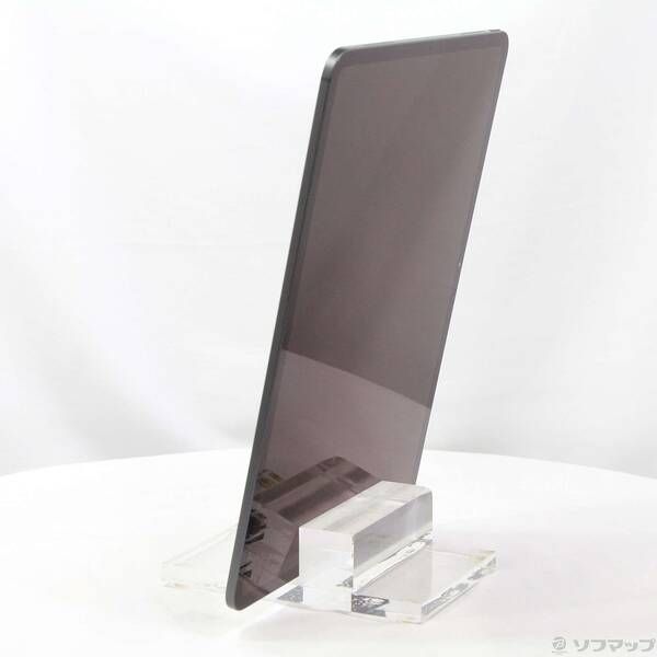 〔 品〕 iPad Pro 13インチ 第1世代 標準ガラス 256GB スペースブラック MVX23J A Wi-Fi 258