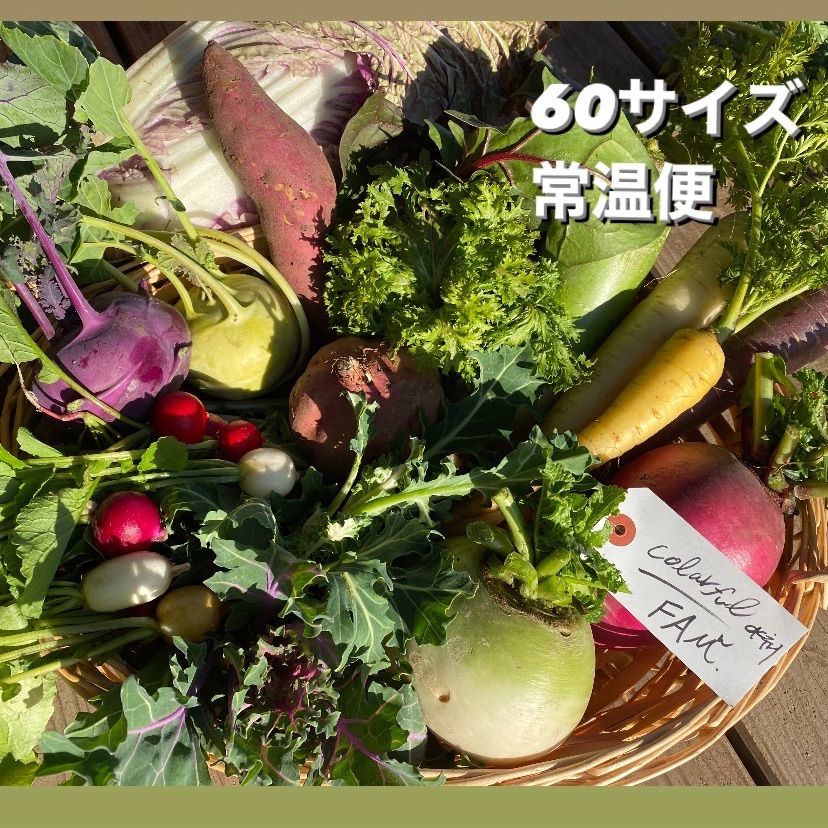 岩手県産 新鮮野菜の詰め合わせ　60サイズ ⚠︎常温便⚠︎ おまかせ野菜BOX