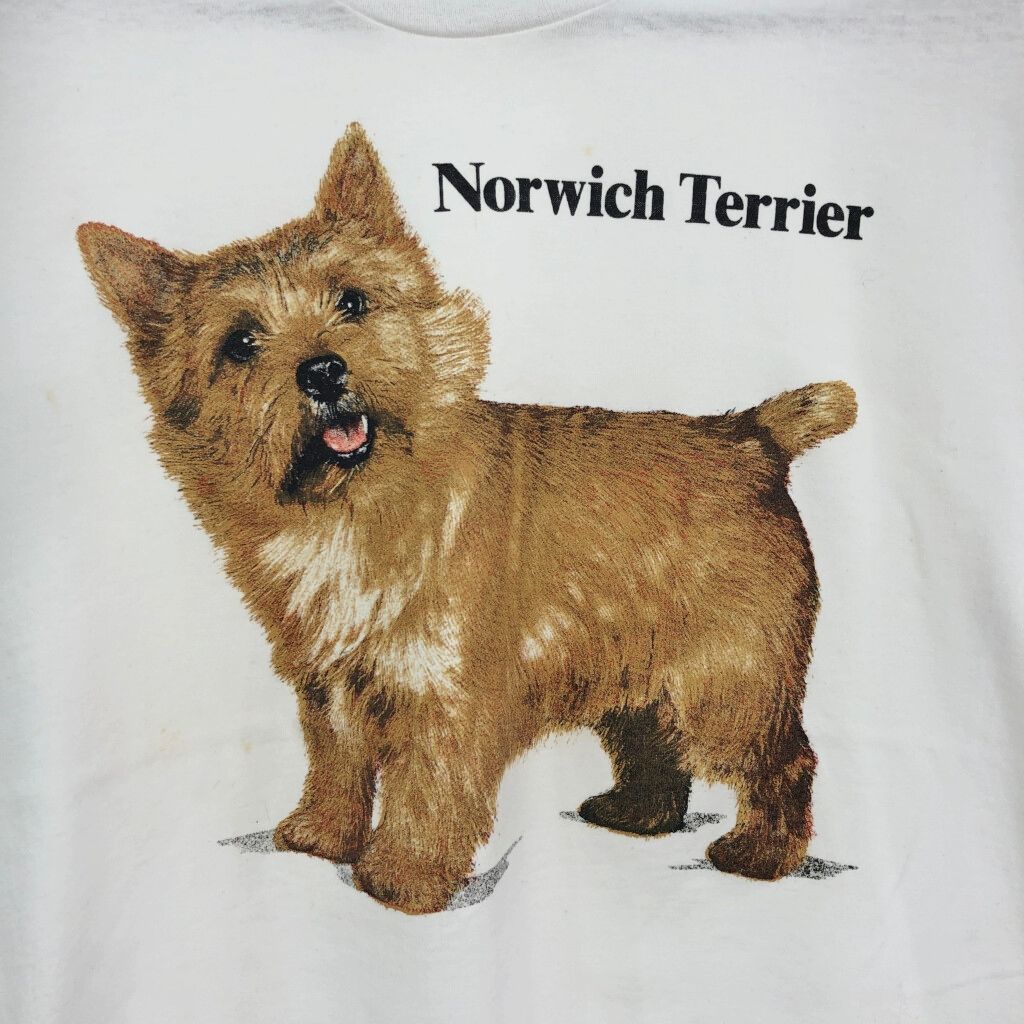 テリア 半袖Ｔシャツ