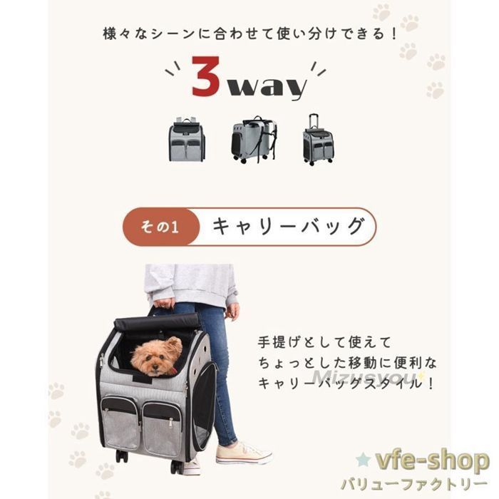 犬 小型犬