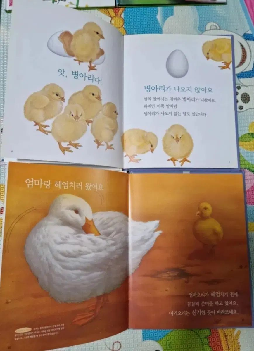 自然観察本 ベビーブック