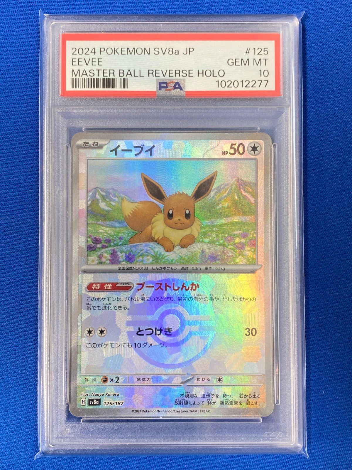 【PSA10】イーブイ SV8a マスボ ポケモンカード ポケモンカード イーブイ マスボ PSA10 PSA10】イーブイ SV8a マスボ
