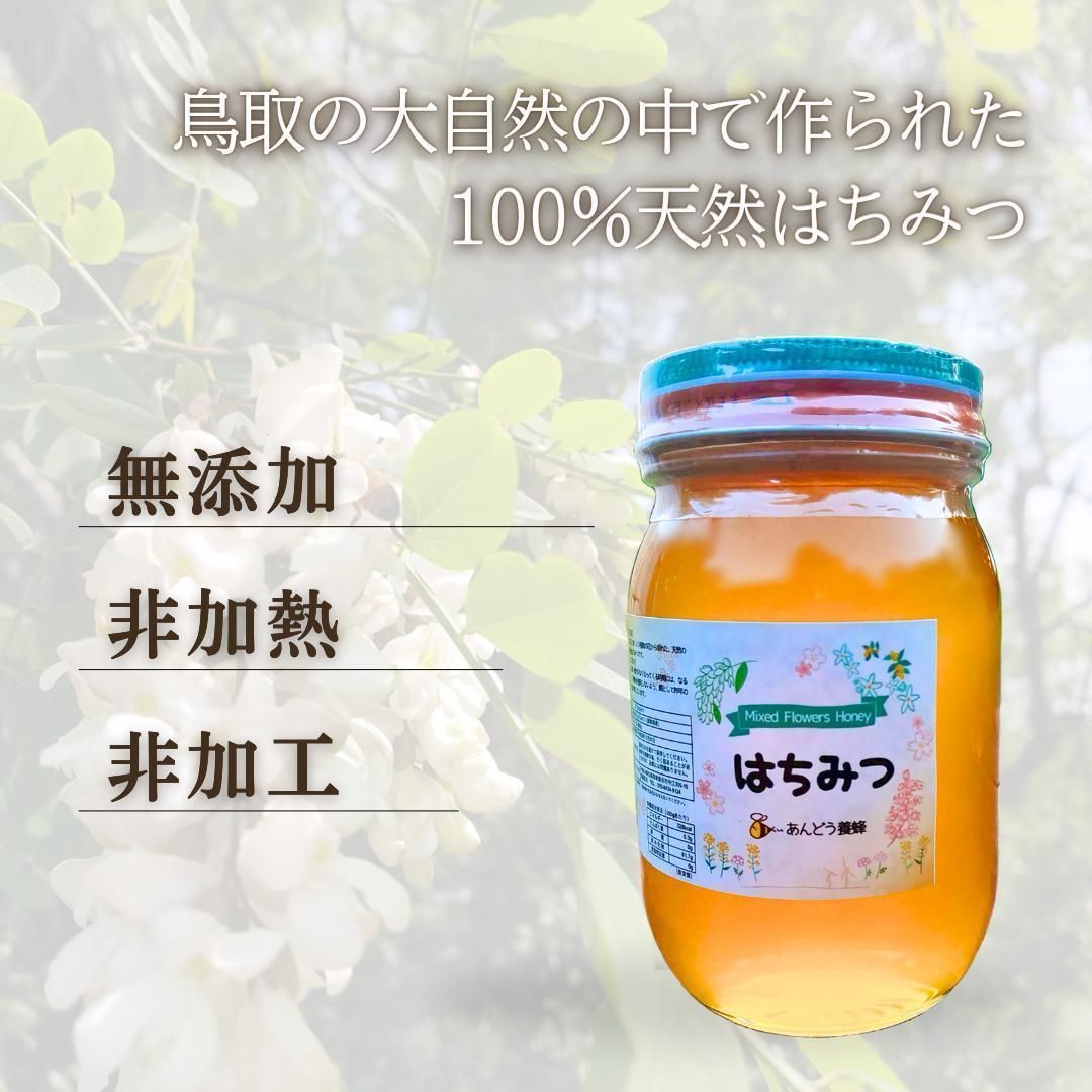 【添加物なし】はちみつ 600g×2瓶 蜂蜜 ハチミツ セイヨウミツバチ 国産