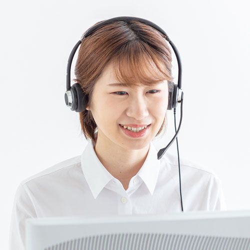 サンワサプライ USBヘッドセット MM-HSU20BK