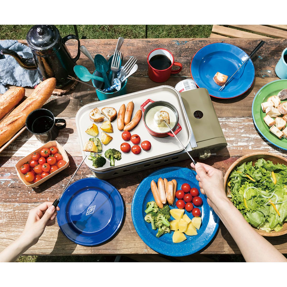 LOGOS×SENGOKU ALADDIN