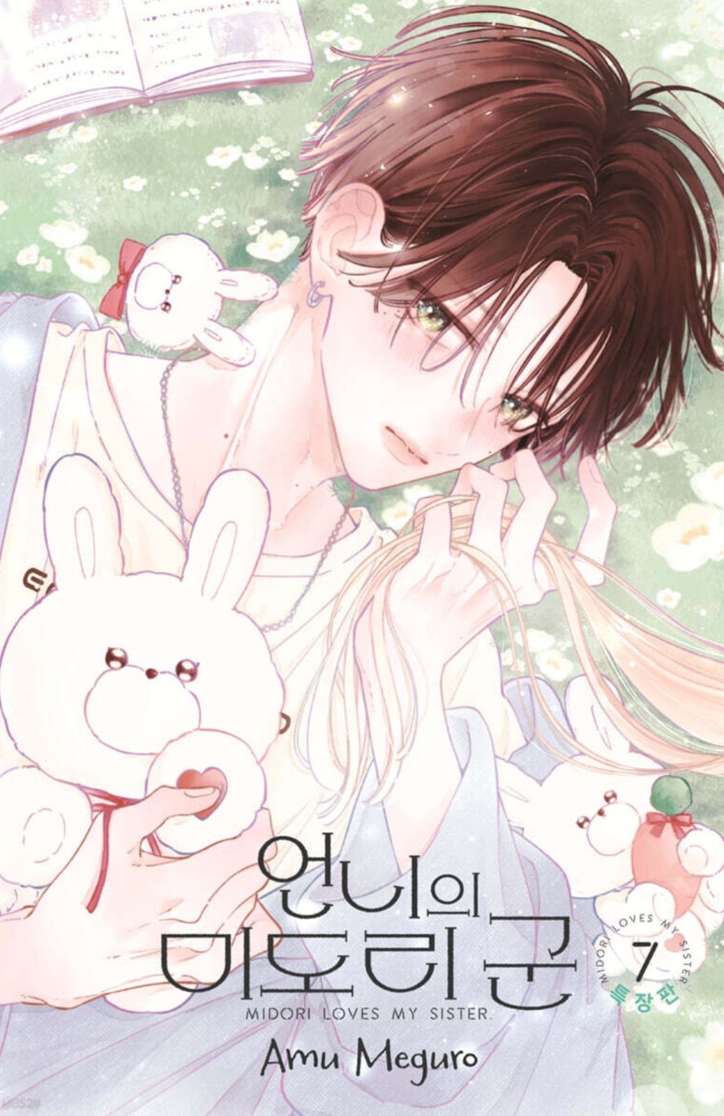 韓国版 漫画 初版 限定版 目黒あむ お姉ちゃんの翠くん 7巻 特装