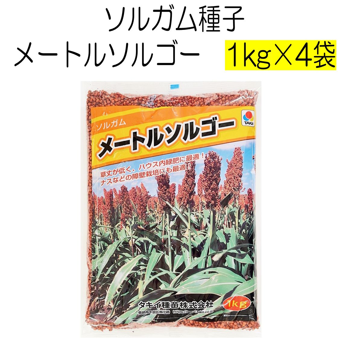 ソルガム種子 メートルソルゴー 4kg タキイ種苗 種 緑肥の種 夏に強い緑肥