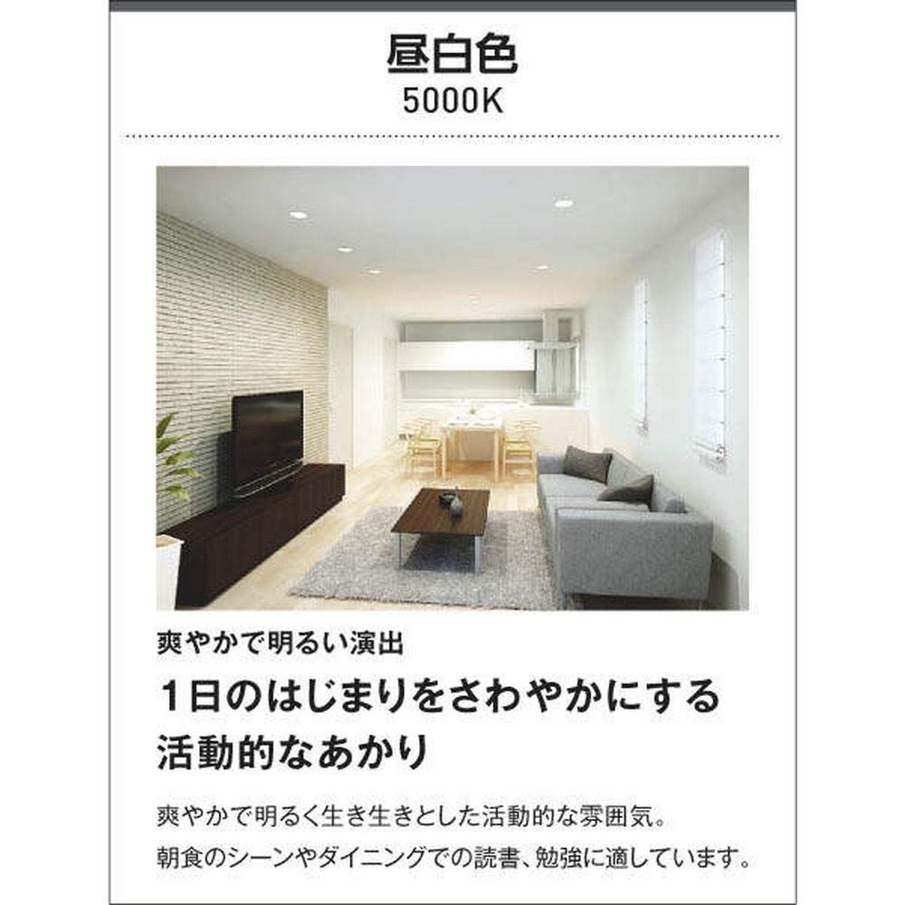 新着商品 黒色 昼白色 FCL30W相当 直付 壁付取付 AU45017L 防雨 防湿型軒下シーリング コイズミ照明