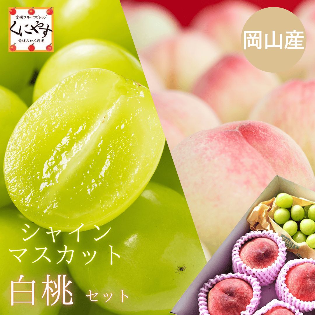 7月11日〜7月30日頃 出荷 白桃 シャイン セット ギフト 贈答用 クール便 岡山産 白桃 シャインマスカットセット 約1.5kg 桃シャイン 果物セット フルーツセット 桃 もも ぶどう