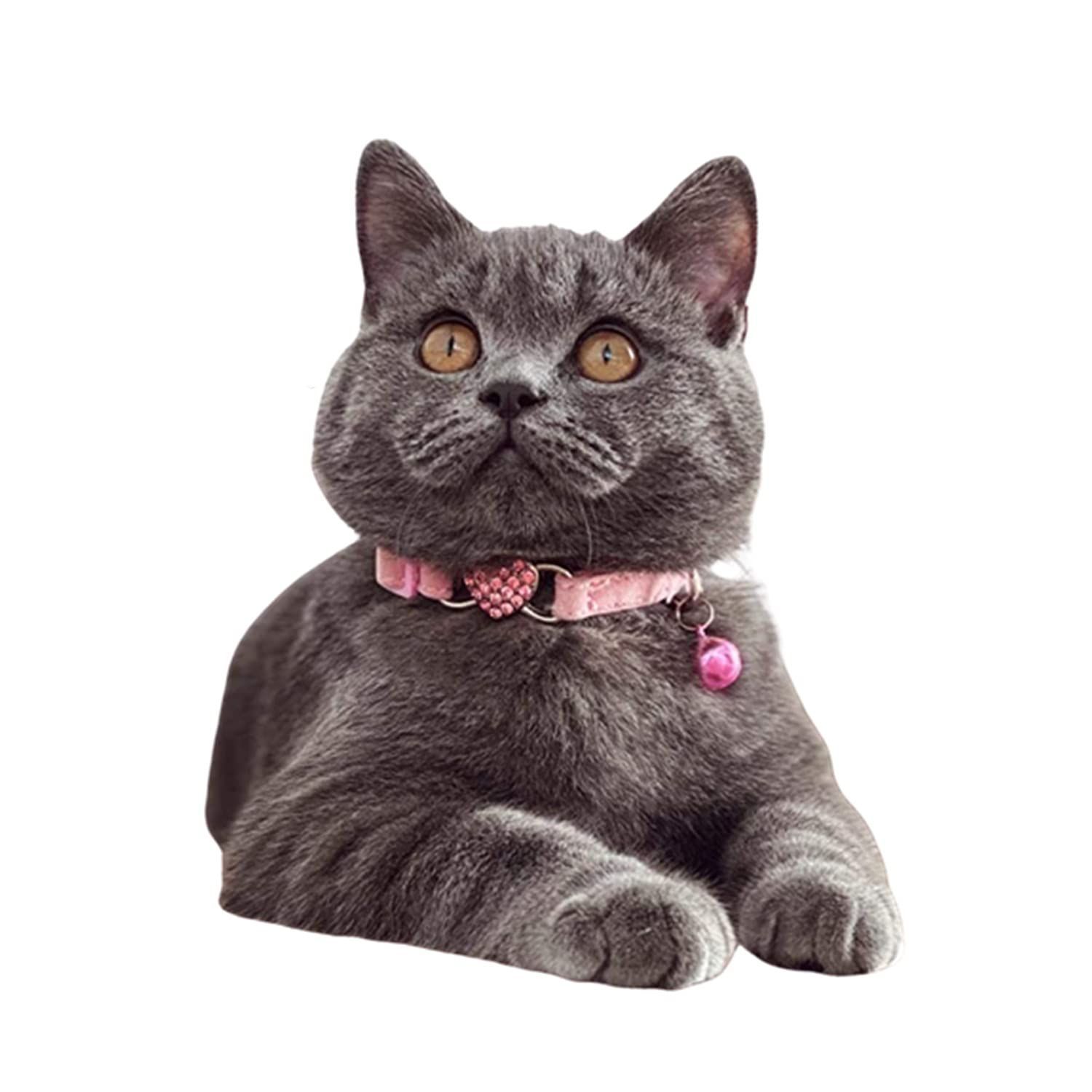 色: ピンク+ブラック】WDPAWS 猫 首輪 猫の首輪 子猫 キラキラ クリ - SUU shop - メルカリ