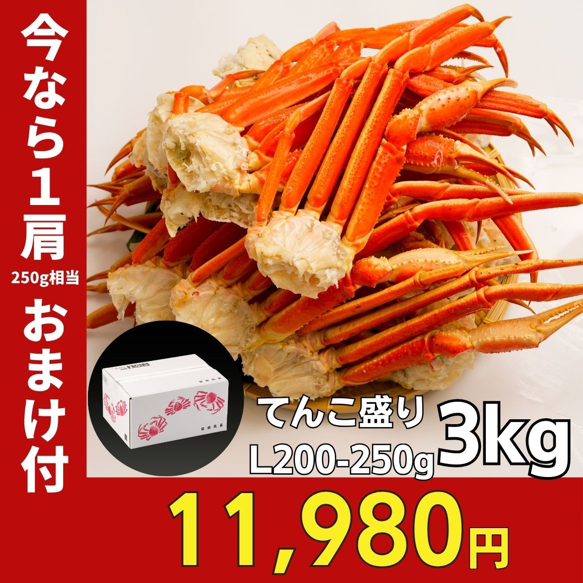 【配送指定可能】ボイルずわいがに 脚 てんこ盛3kg 10-14肩/5-6人前 ギフト お歳暮 贈りもの ズワイガニ かに カニ 蟹