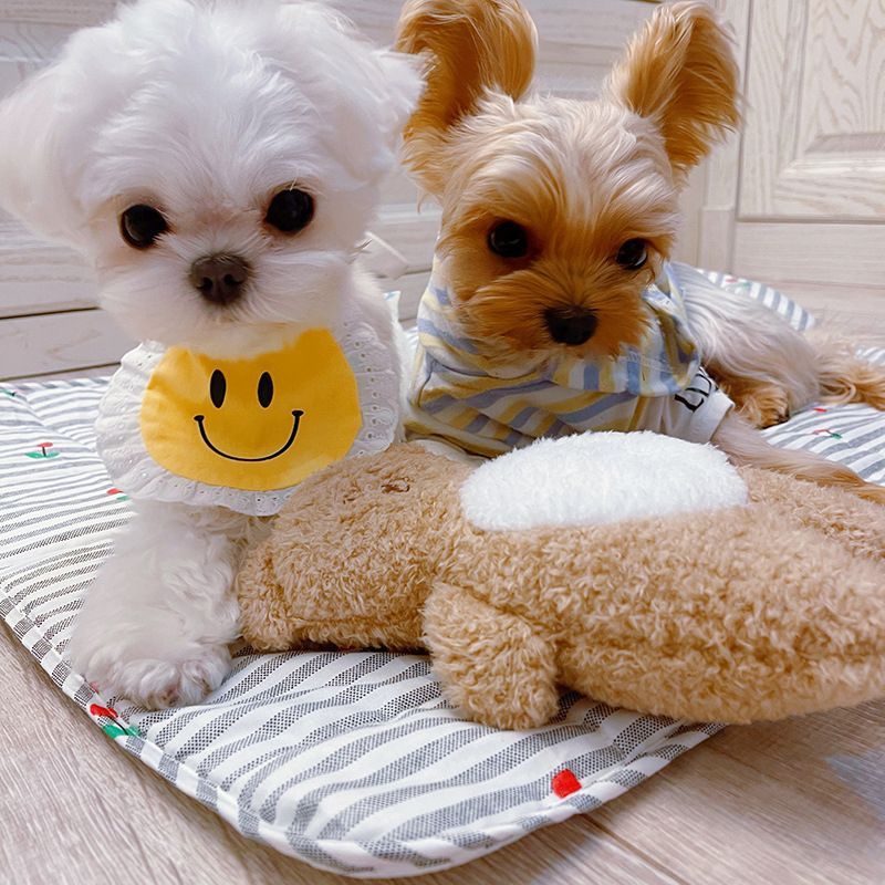送料込【犬服】にこちゃん スタイ かわいい 犬服 バースデイ