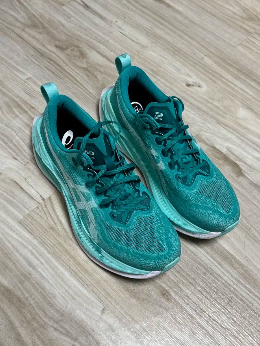 275 Asics アシックス スーパーブラスト 2 1 会議用