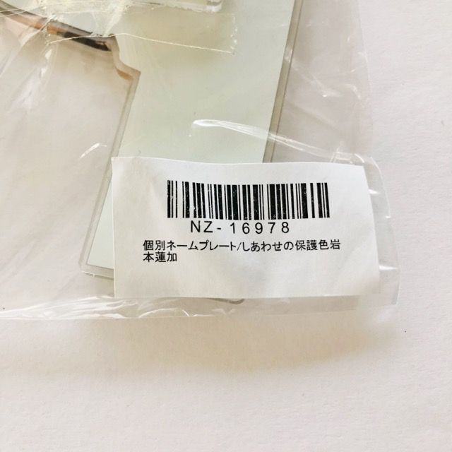 乃木坂46