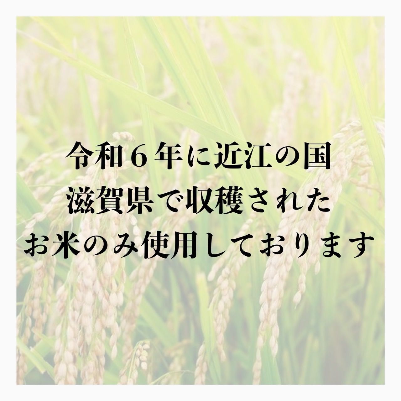 令和6年収穫】近江のお米 30kg（10kg×3本） - メルカリ