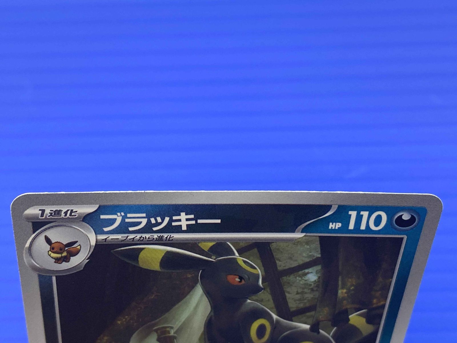 □【盛岡店56-0165】ブラッキー SV8a テラスタルフェスex 092