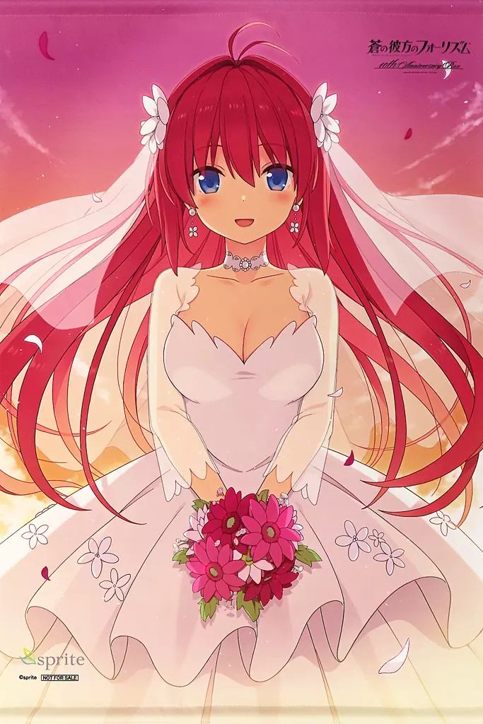 タペストリー 倉科明日香 描き下ろしB2Wスエードタペストリー PCソフト 蒼の彼方のフォーリズム 10th Anniversary BOX トレーダー 特典