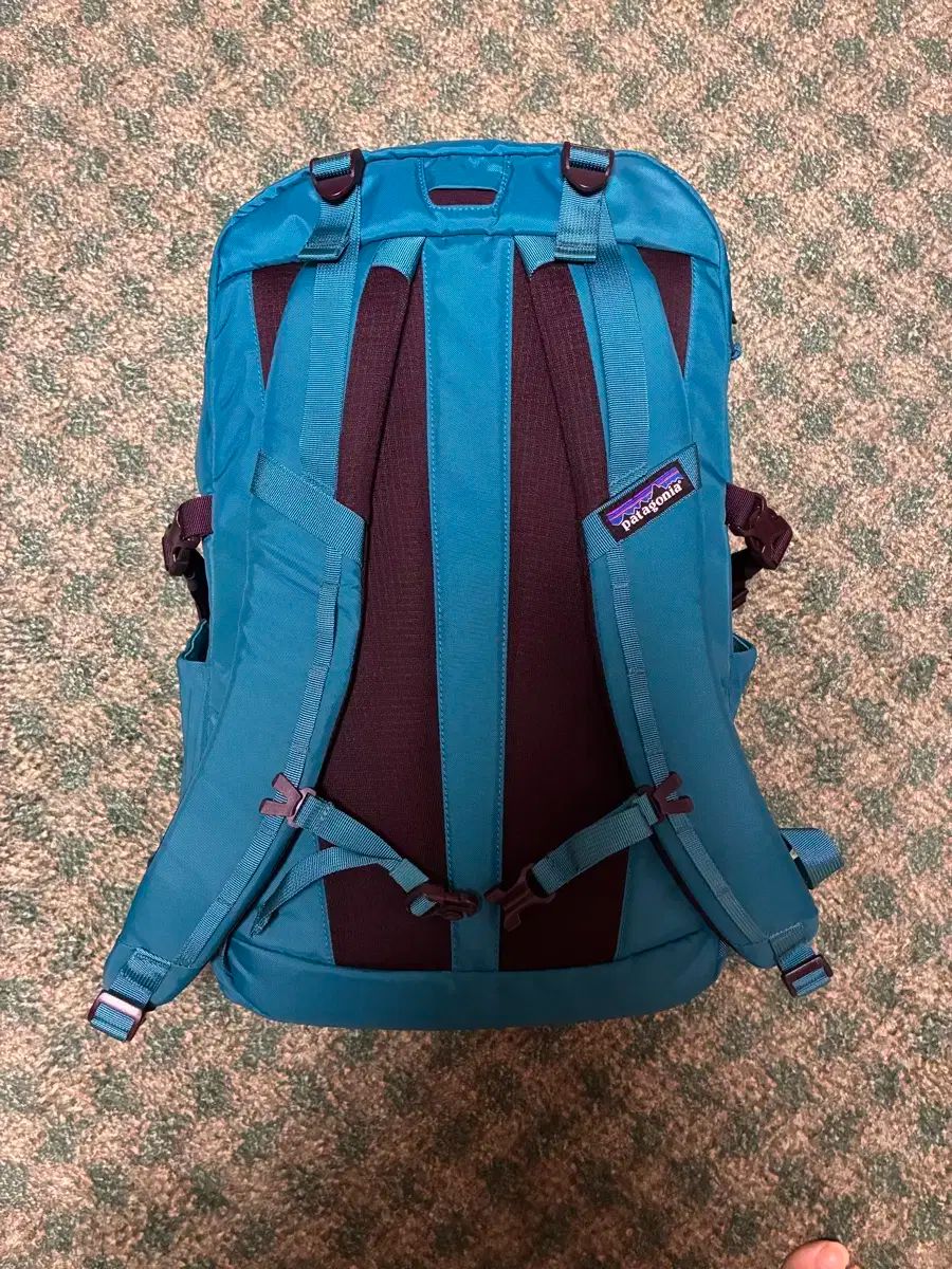 着実な パタゴニア バックパック 30リー