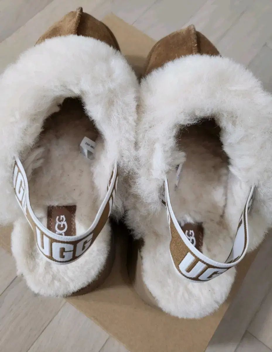 UGG アグ