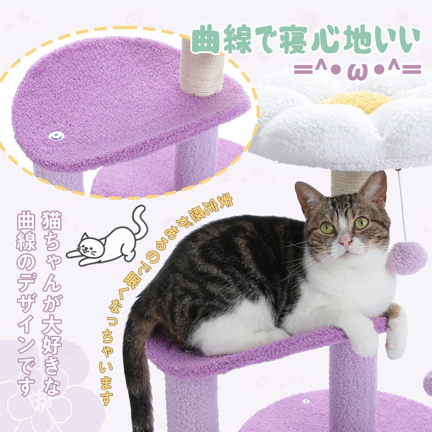 猫用品