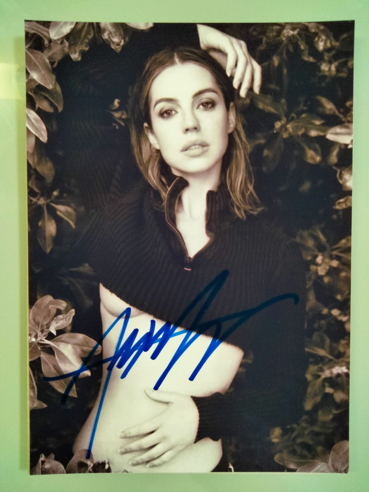 アデレード・ケイン直筆サイン入り超 特大写真…Adelaide Kane