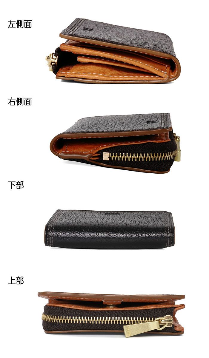 TAKEO KIKUCHI タケオキクチ タケオ キクチ ターナリー カードケース