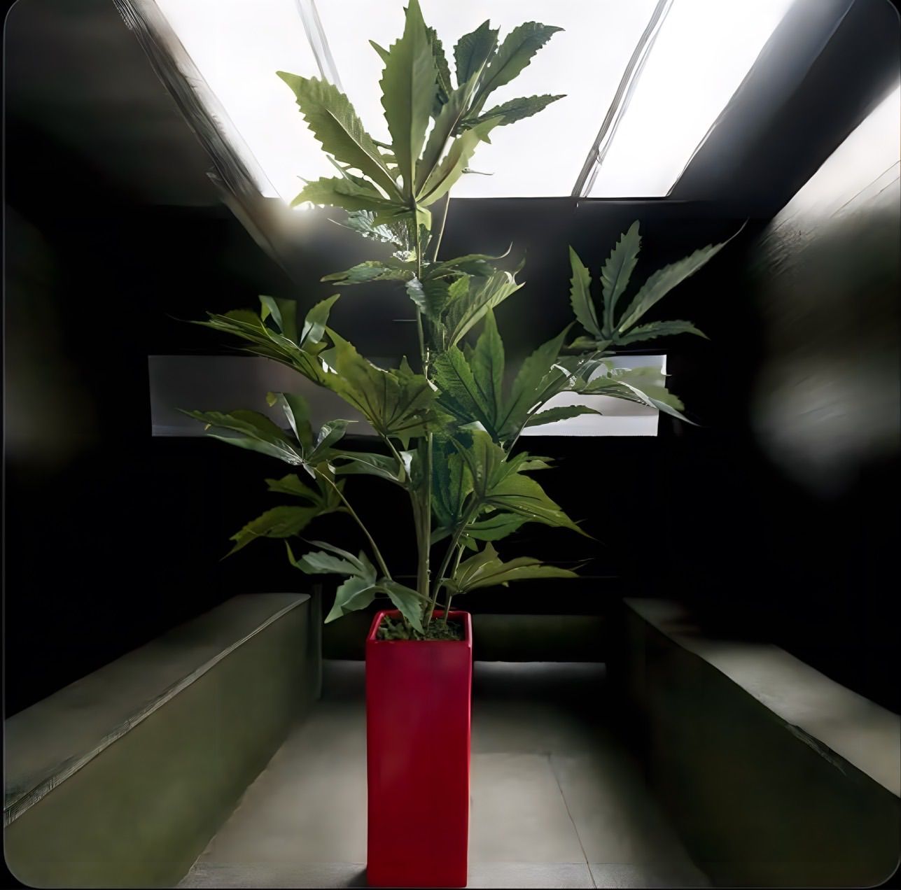 光触媒 フェイクグリーン マリファナ 人工観葉植物 大造花 草 CBD804