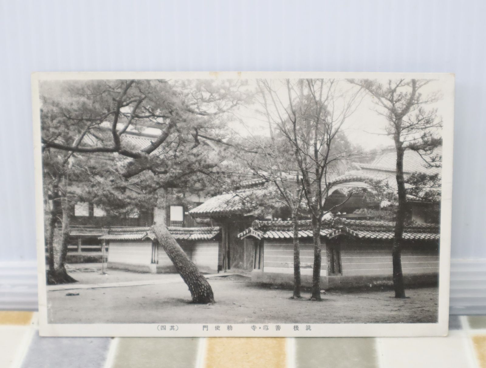 （訳ありセール 格安） レア コレクター品 ∠ 希少 ポストカード 右横書き｜戦前絵葉書 その他