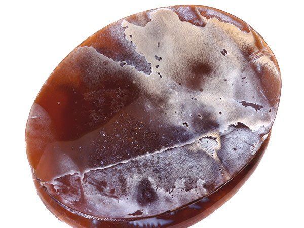 ジュエリー極】綺麗な花の彫刻 高級シェルカメオルース 44.2mm×32.2