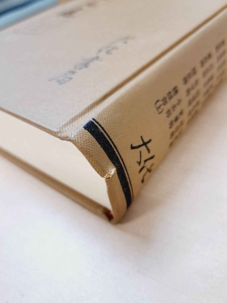 【沖縄本・古文書】蔡温本　中山世譜　正巻・附巻２冊 琉球王国の正史が国重要文化財へ 文化審が答申 「中山世鑑」「蔡