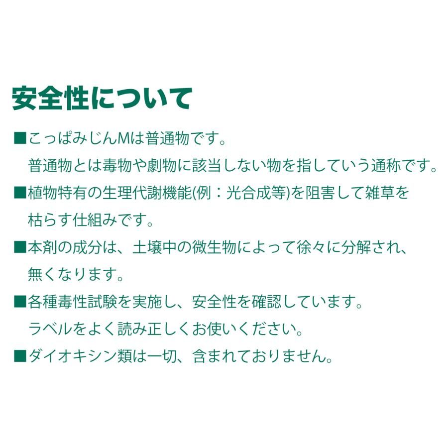 こっぱみじんM