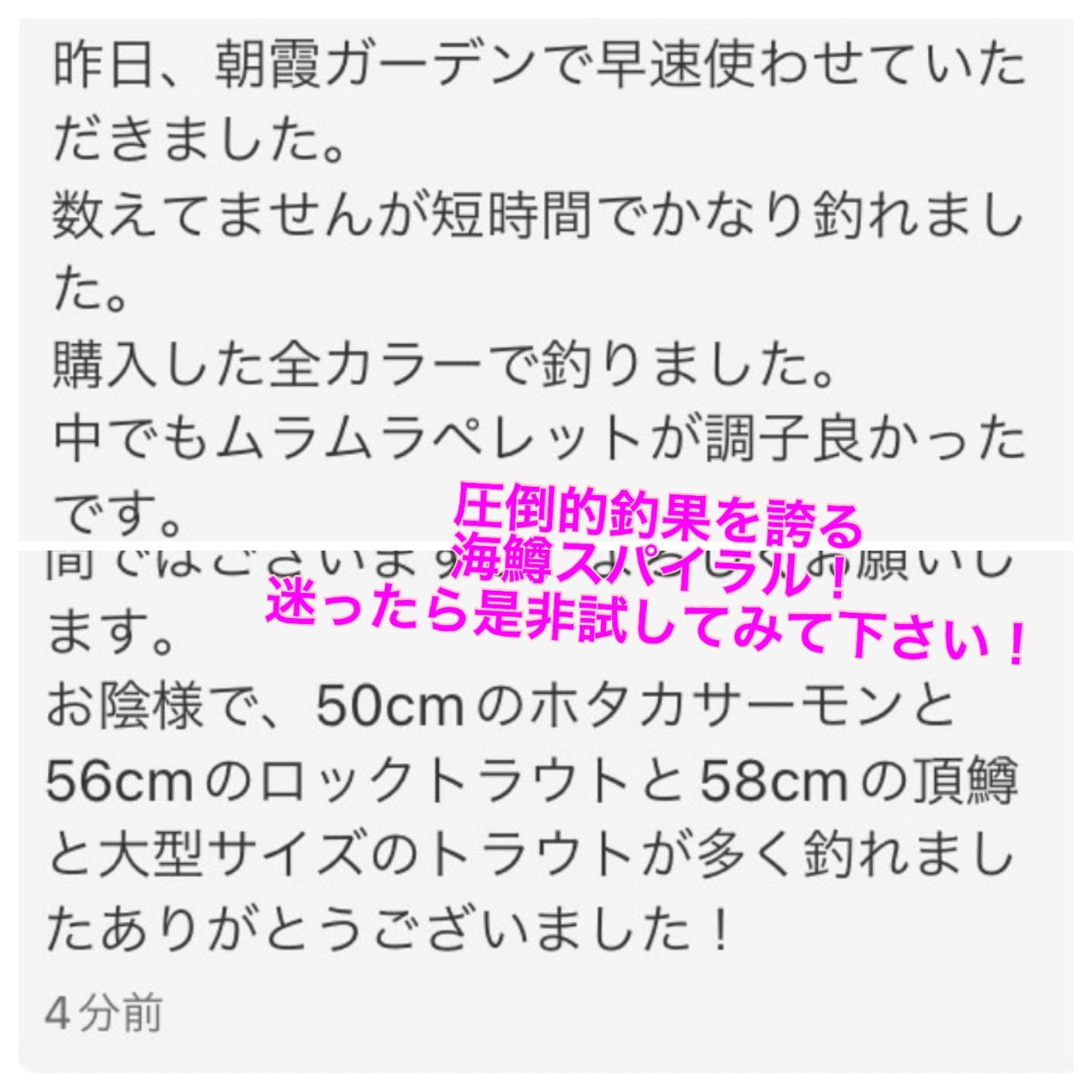 【らーてりっち】管釣り　エリアトラウト 海鱒スパイラルtrigger オンライン 通販アウトドア・釣り・旅行用品 - 管釣り エリア