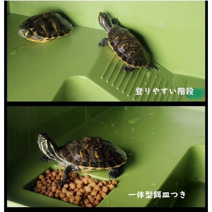 陸地付き