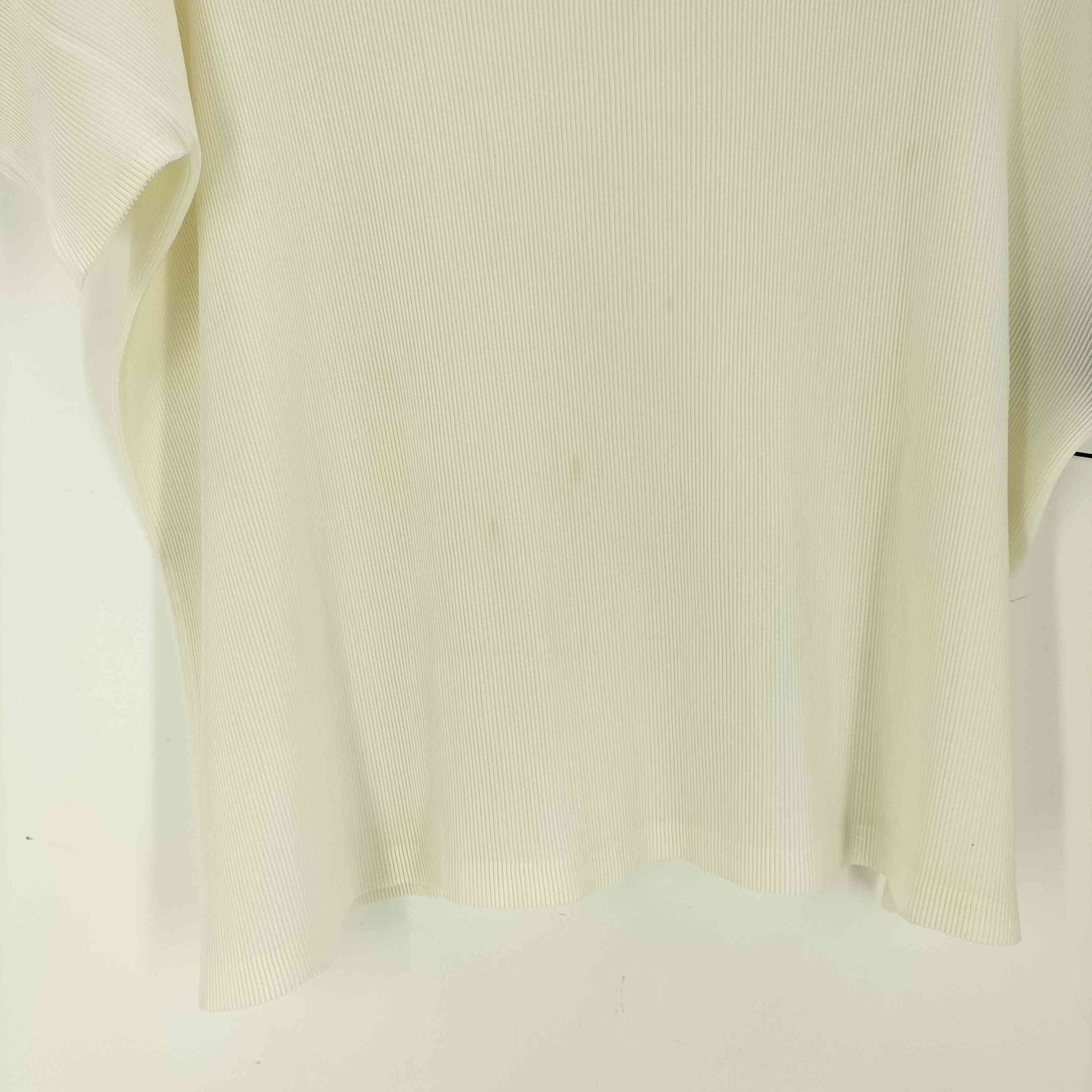 ISSEY MIYAKE　プリーツプリーズ　ｖネック　白　カットソー プリーツプリーズイッセイミヤケ PLEATS PLEASE ISSEY MIYAKE