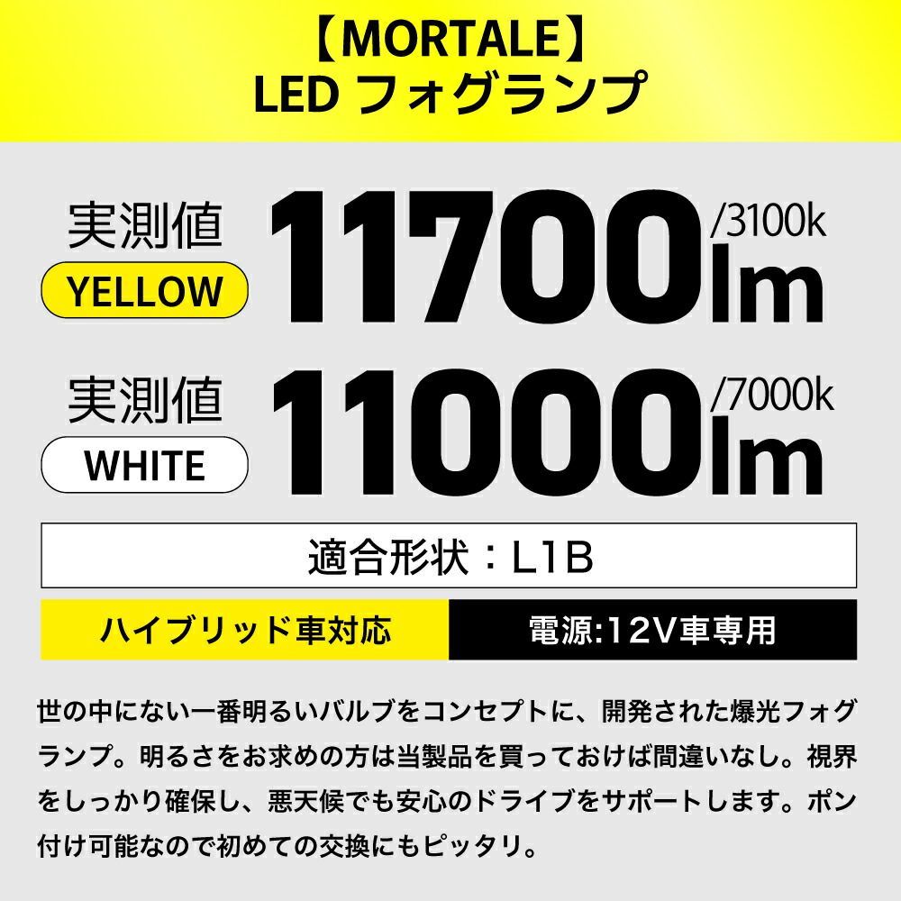 ランドクルーザー300