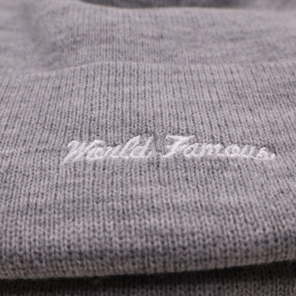 22AW FW シュプリーム　ニューエラ　ボックスロゴ　ビーニー　グレー Supreme シュプリーム 22AW New Era Box Logo Beanie ニューエラ