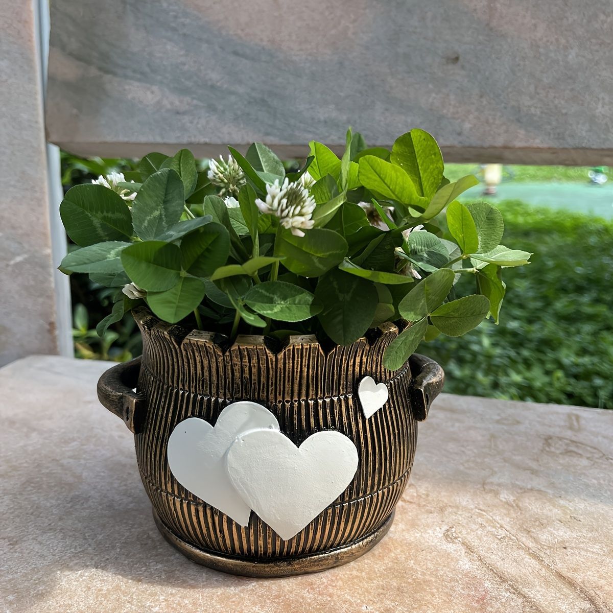 多肉 ハート型プランター 多肉 ハート型プランター
