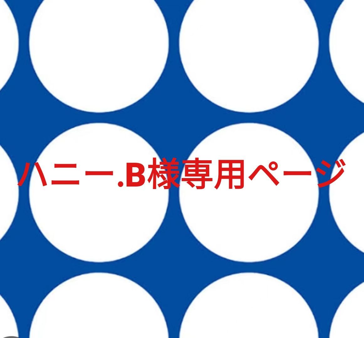 ハニー.B様専用ページです。 - メルカリ