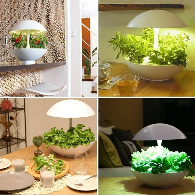 水耕栽培キット 水耕栽培器