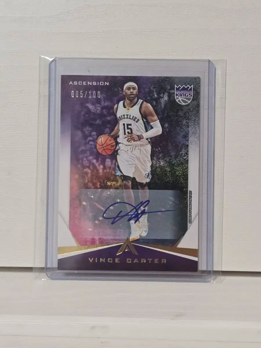 2017 Panini パニーニ ヴィンス カーター オート 100