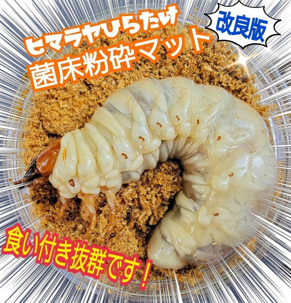 60リットル】菌床粉砕クワガタマット 甘い菌糸の香り！カップや